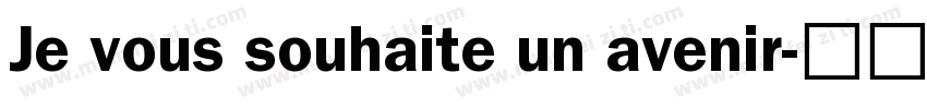 Je vous souhaite un avenir字体转换